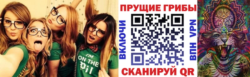 Псилоцибиновые грибы Psilocybine cubensis  kraken   Богданович 